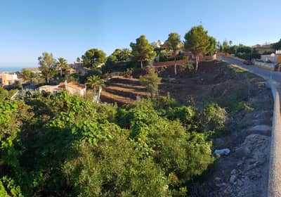 Property #HFF3042A 3