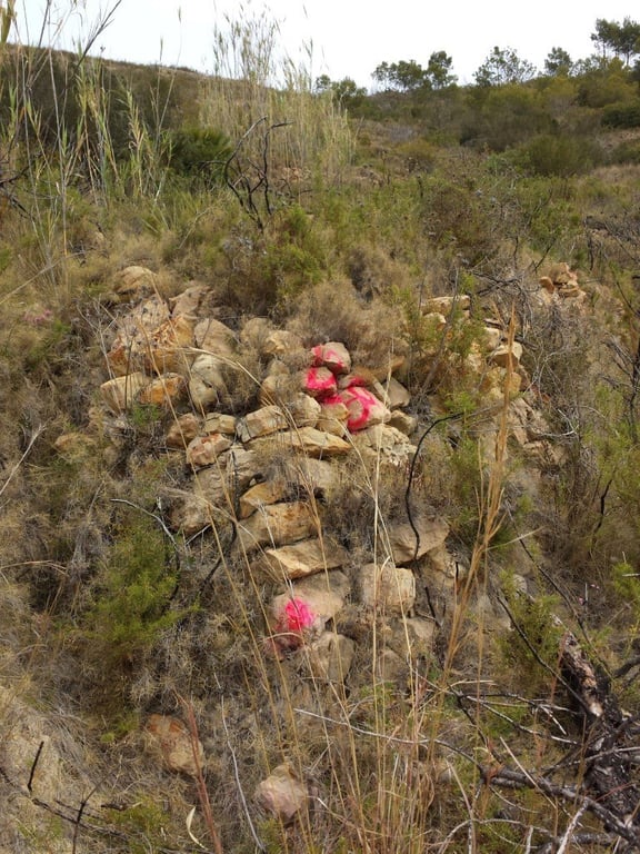 Se vende parcela en pedreguer con licencia de construccion - 25