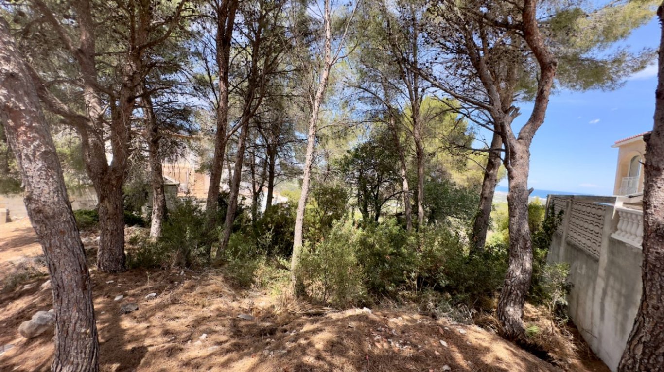 Parcel·la urbana amb vistes a Oliva - 3