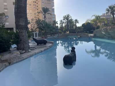 Property #TSR3373C - Image 2