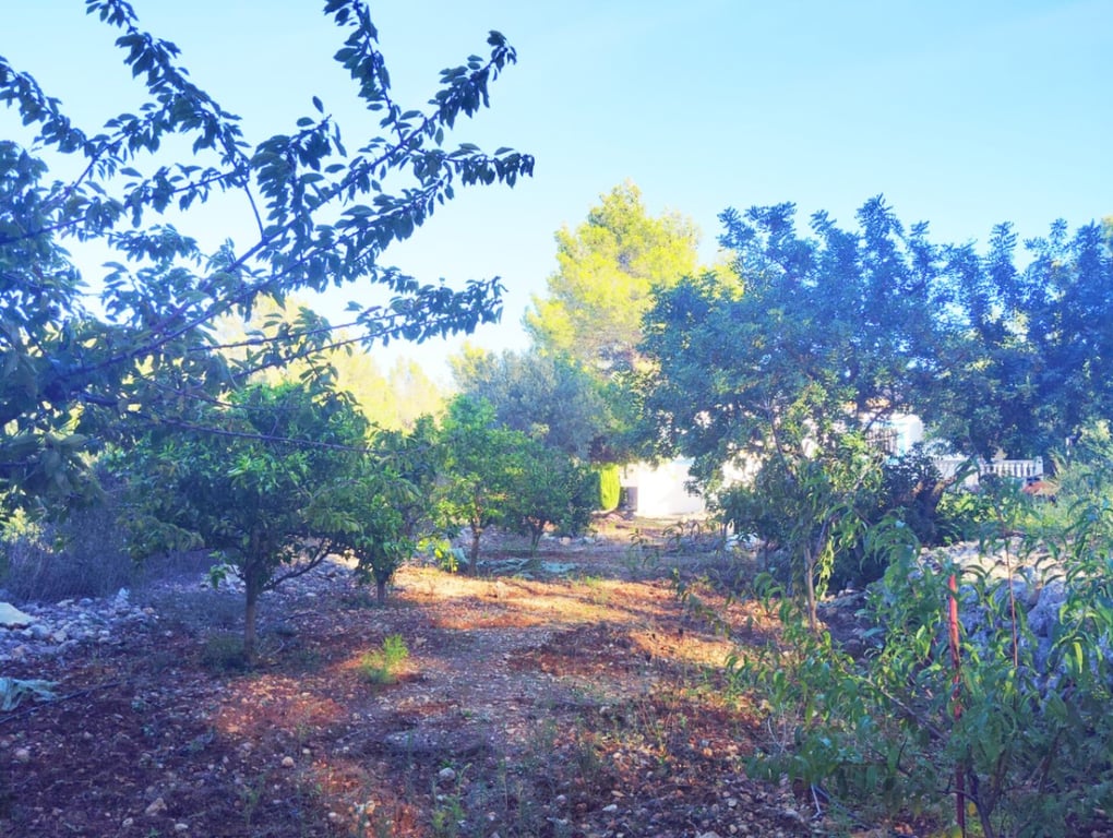 Casa de camp reformada a Parcent: tranquil·litat, parcel·la tancada, natura i confort en un entorn privilegiat. - 28