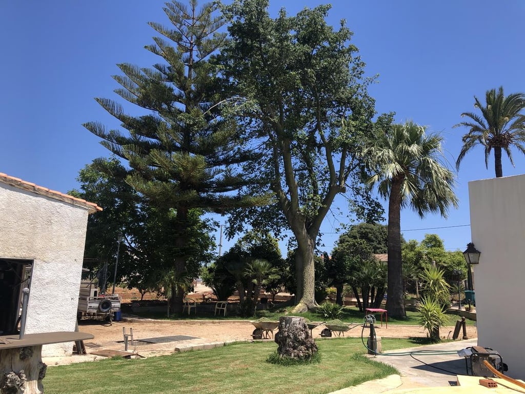 Ondara. Casa de campo amplia con piscina en venta - 8