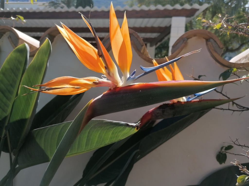 Villa con vistas al mar, en Santa Lucia a Denia - 69