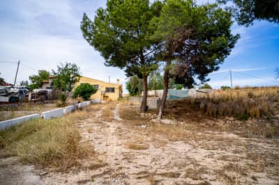 Property #TSR1601C - Image 2