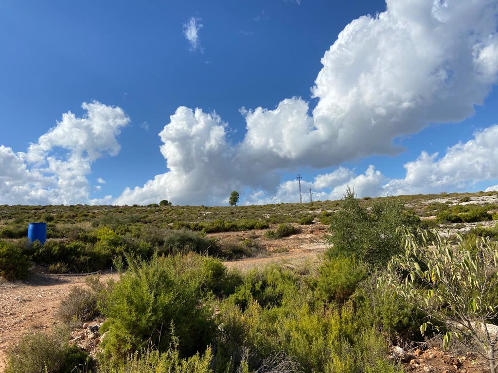 Se vende Terreno/Coto de Caza en Bocairente - 18