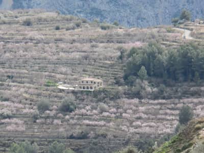 Property #TSR2445C - Image 5