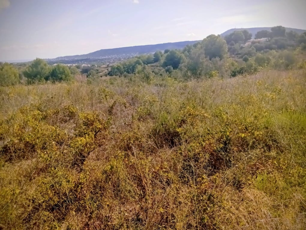 Se vende gran terreno rustico en Benitachell - 3