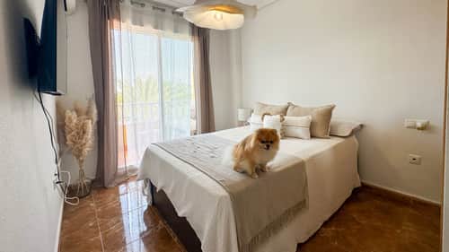 Appartement met 2 slaapkamers in Guardamar del Segura — foto 16