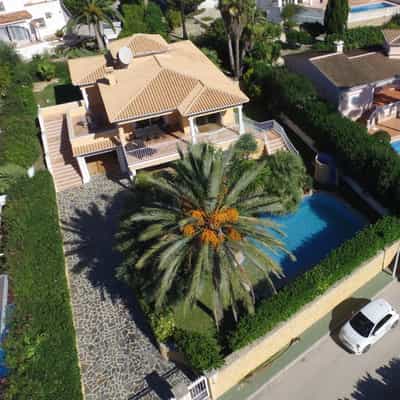 Property #AD 446 1