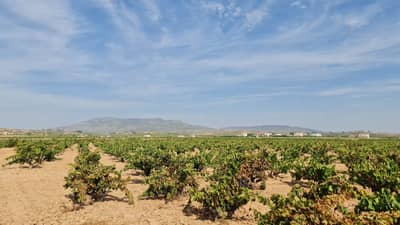 Property #TSR3421C - Image 4