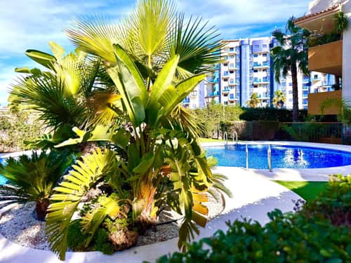 Appartement met 2 slaapkamers in Torrevieja — foto 11