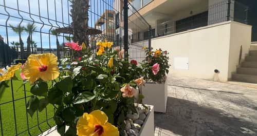 Bungalow met 2 slaapkamers in Orihuela Costa — foto 37
