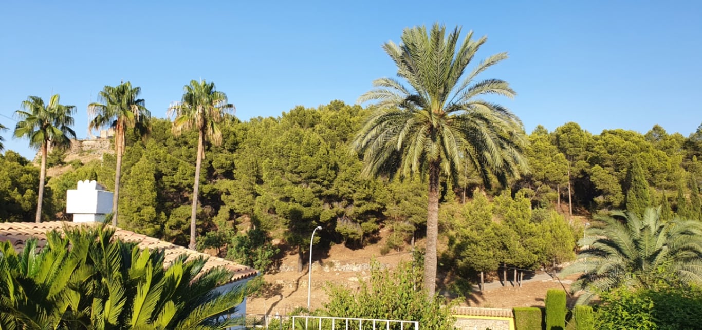 Xalet amb 4 Dormitoris a Oliva Pueblo - 4