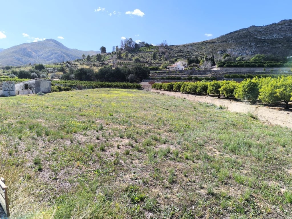 Terreny rustic a la venda a Pego - 4