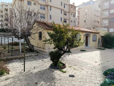 Property #TSR3243C - Image 3