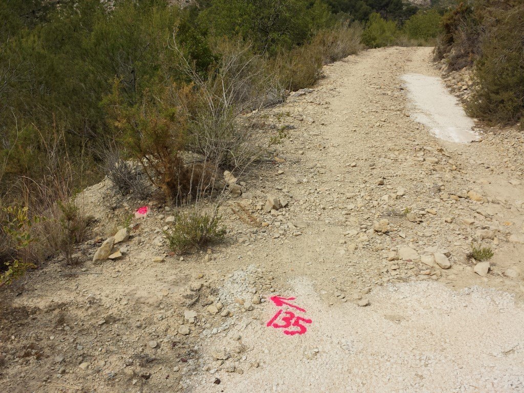 Se vende parcela en pedreguer con licencia de construccion - 36