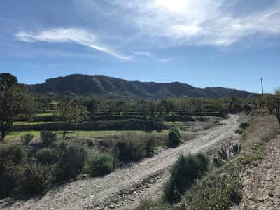 Property #TSR3465C - Image 2