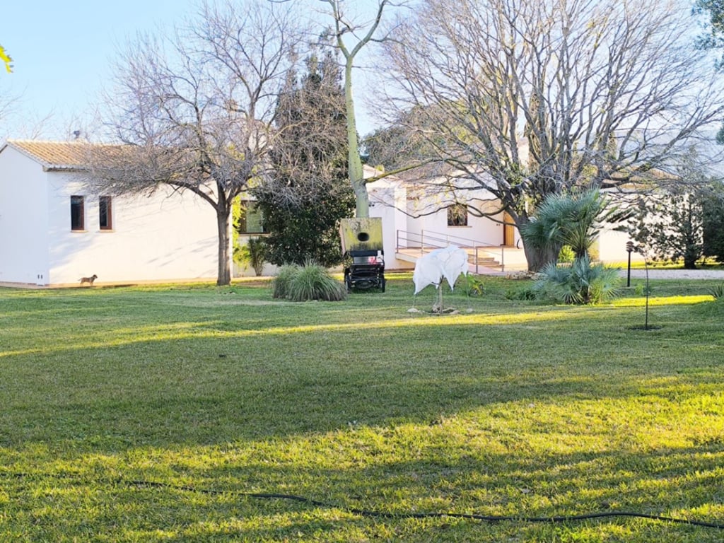 Vila en venda a Ondara amb gran parcel·la planera i dos habitatges independents - 3