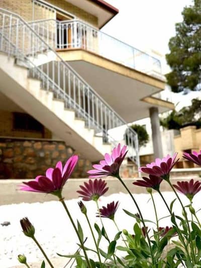 Property #TSR3136C - Image 5