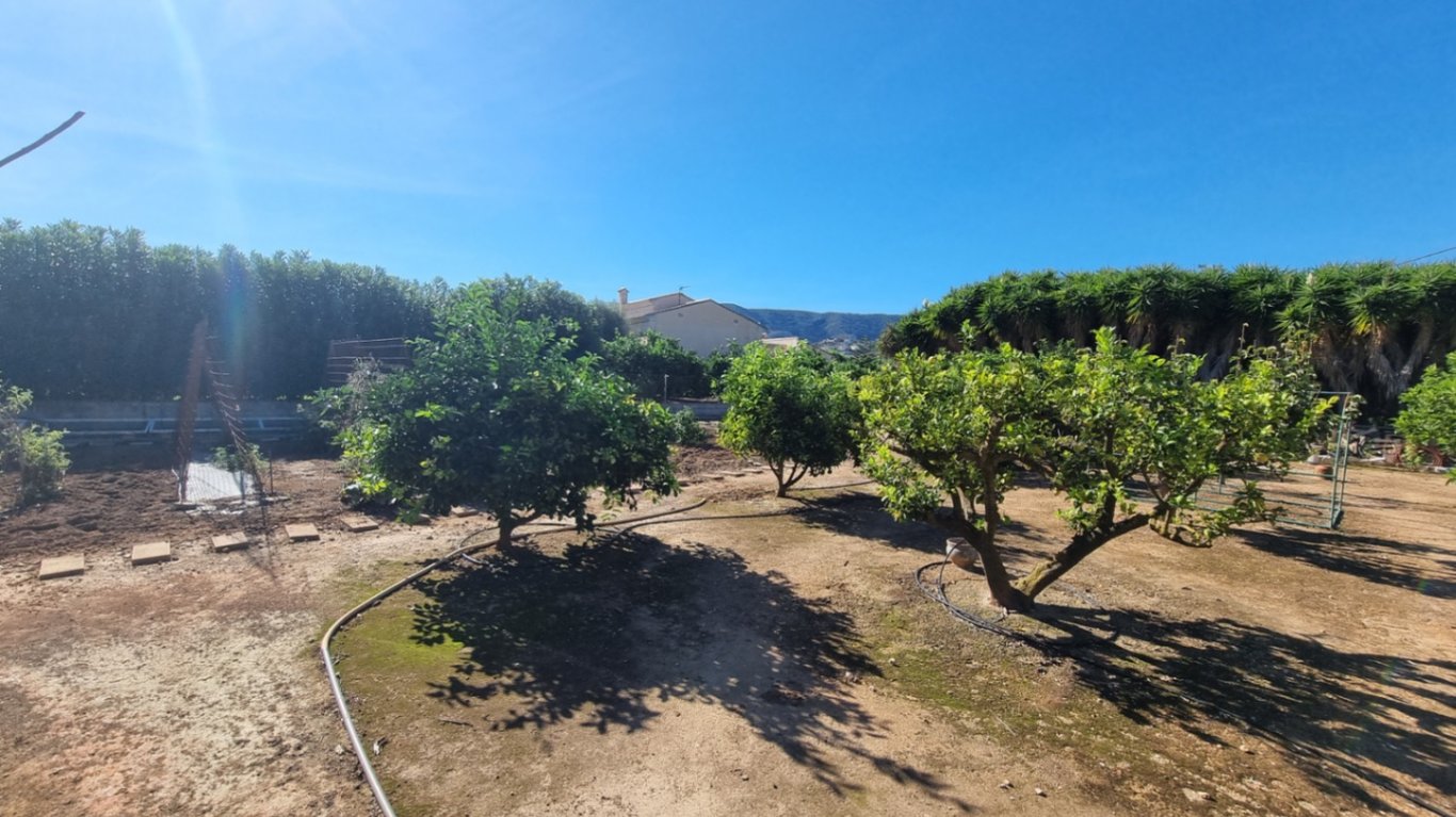 Casa de Camp amb Piscina, Garatge i molt de Camp a Pedreguer - 13