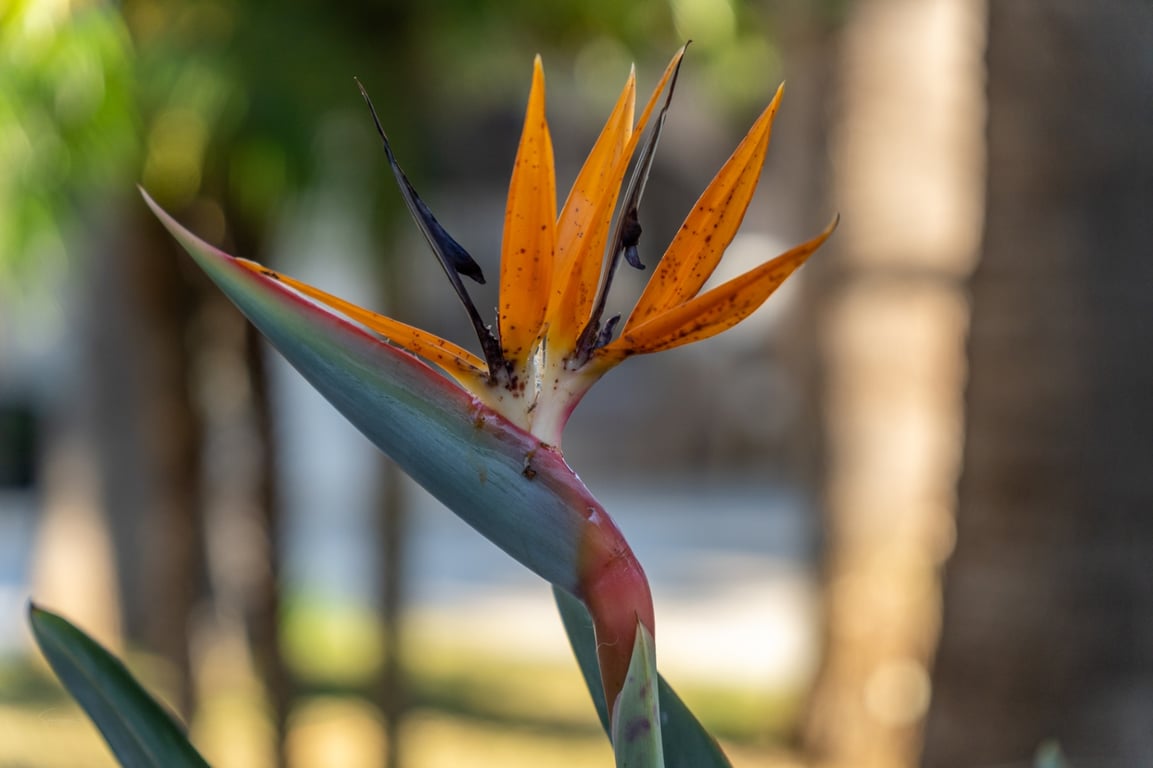 Exclusiva finca completamente reformada con gran parcela de 11.367 m2 - 46