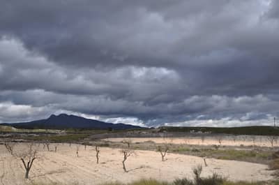 Property #TSR3093C - Image 5