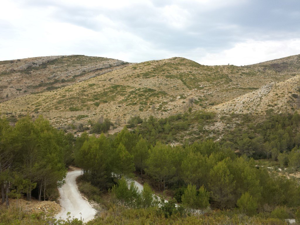 Se vende parcela en pedreguer con licencia de construccion - 3