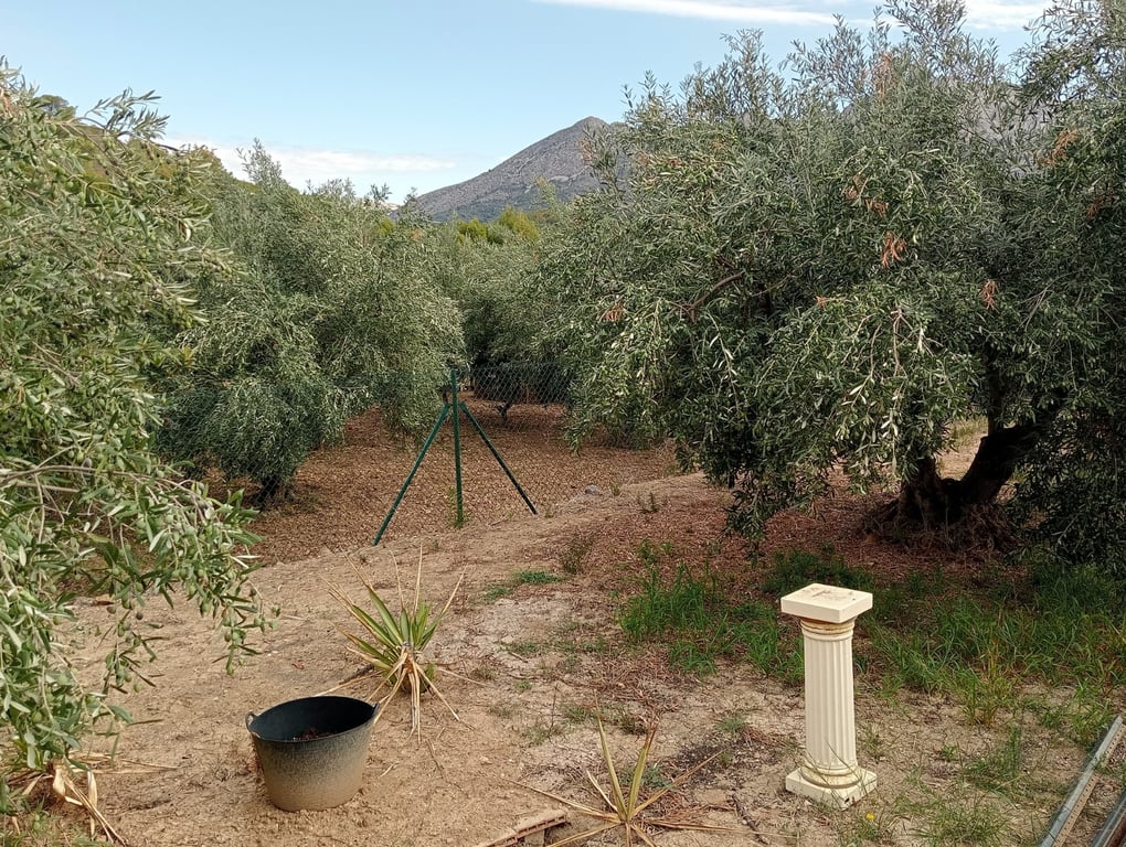 Property #RH20408 - 4