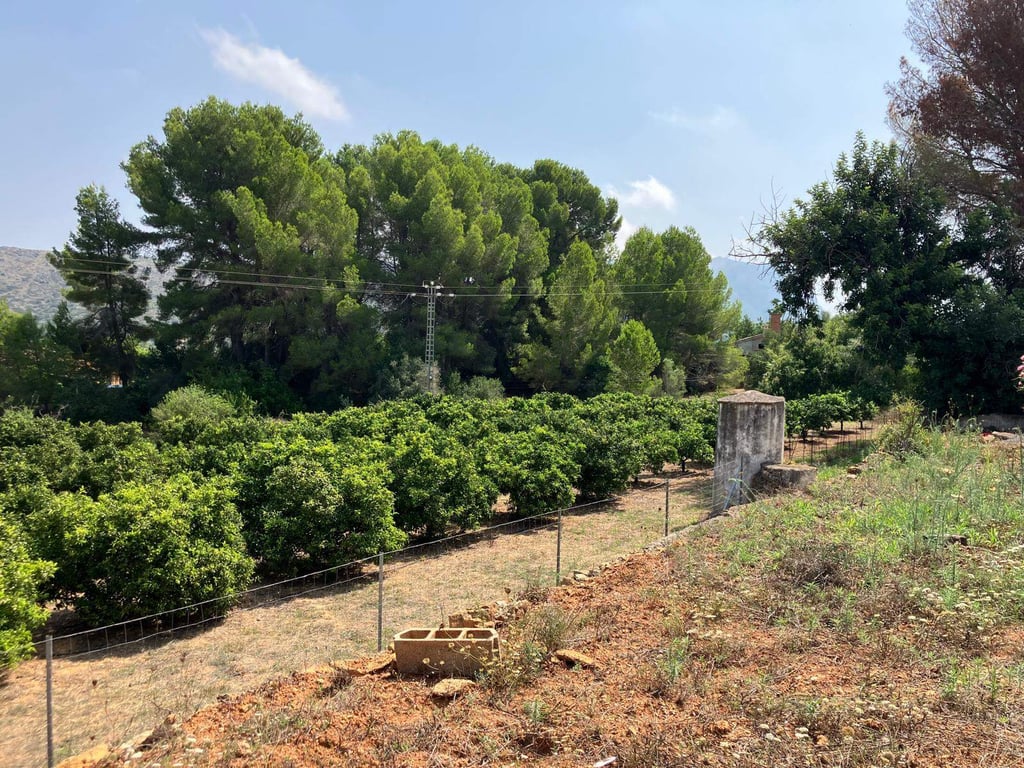 Casa de campo para reformar - 7