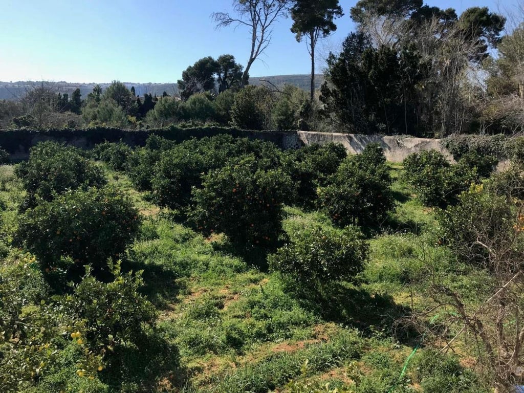 Chalet en venta en DENIA con gran parcela - 15