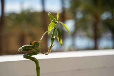 Property #TSR3536C - Image 3