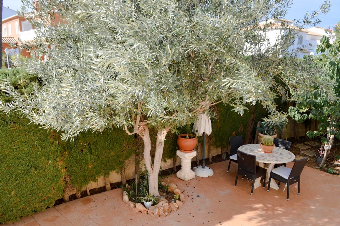 Villa de 4 dormitorios en Las Marinas, en la zona de Las Brisas - 37