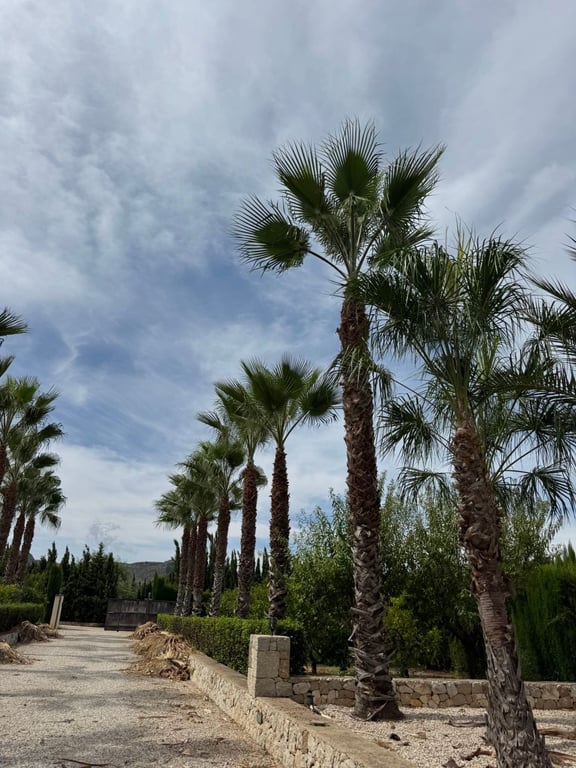 Casa rústica en Pedreguer con piscina y 3 habitaciones a la venta - 28