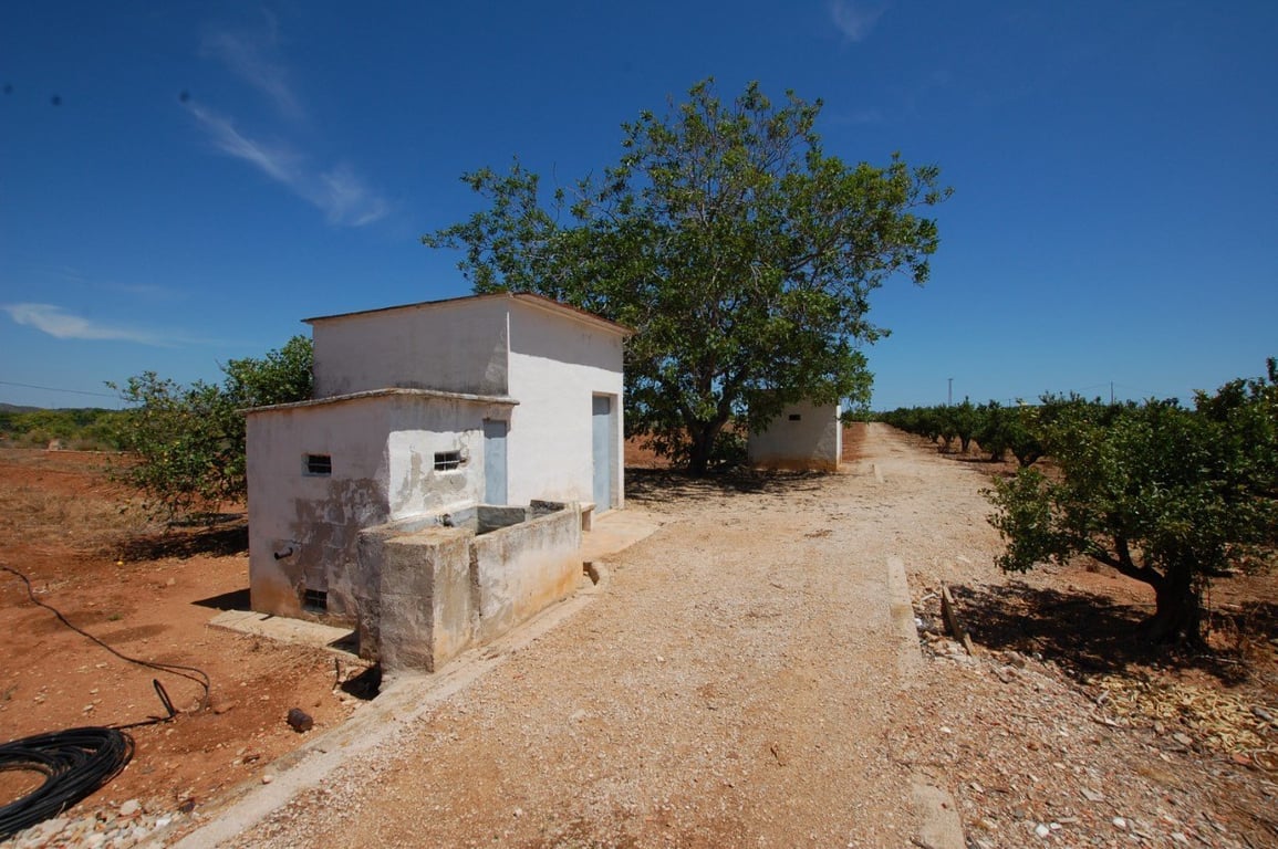 Terreny rústic de 22.000 metres quadrats a Pego - 5