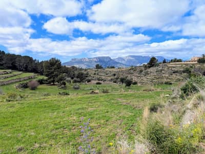 Property #HFF3101A 3