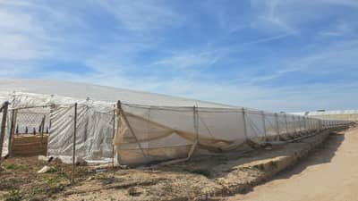 Property #TSR3589C - Image 5