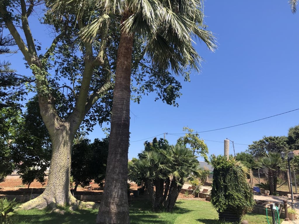 Ondara. Casa de campo amplia con piscina en venta - 5