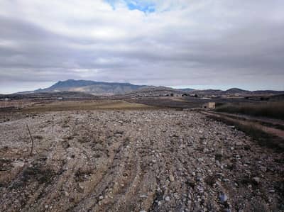 Property #TSR3447C - Image 4