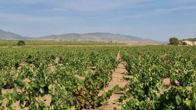 Property #TSR3429C - Image 5