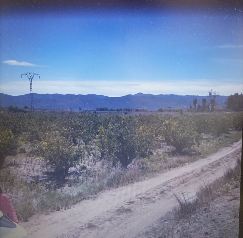 Se vende Finca en la provincia de Valencia - 3