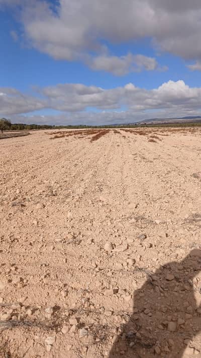 Property #TSR1640C - Image 2