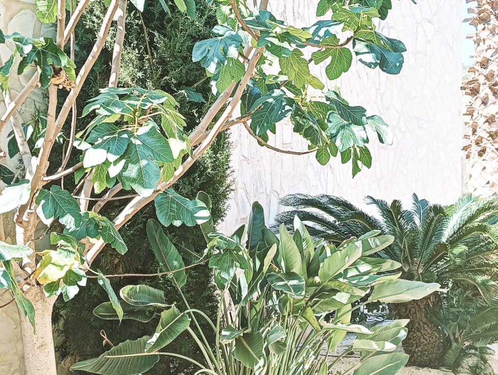 Meravellosa vila amb vistes panoràmiques al mar i a tota la costa de la Costa Blanca - 24