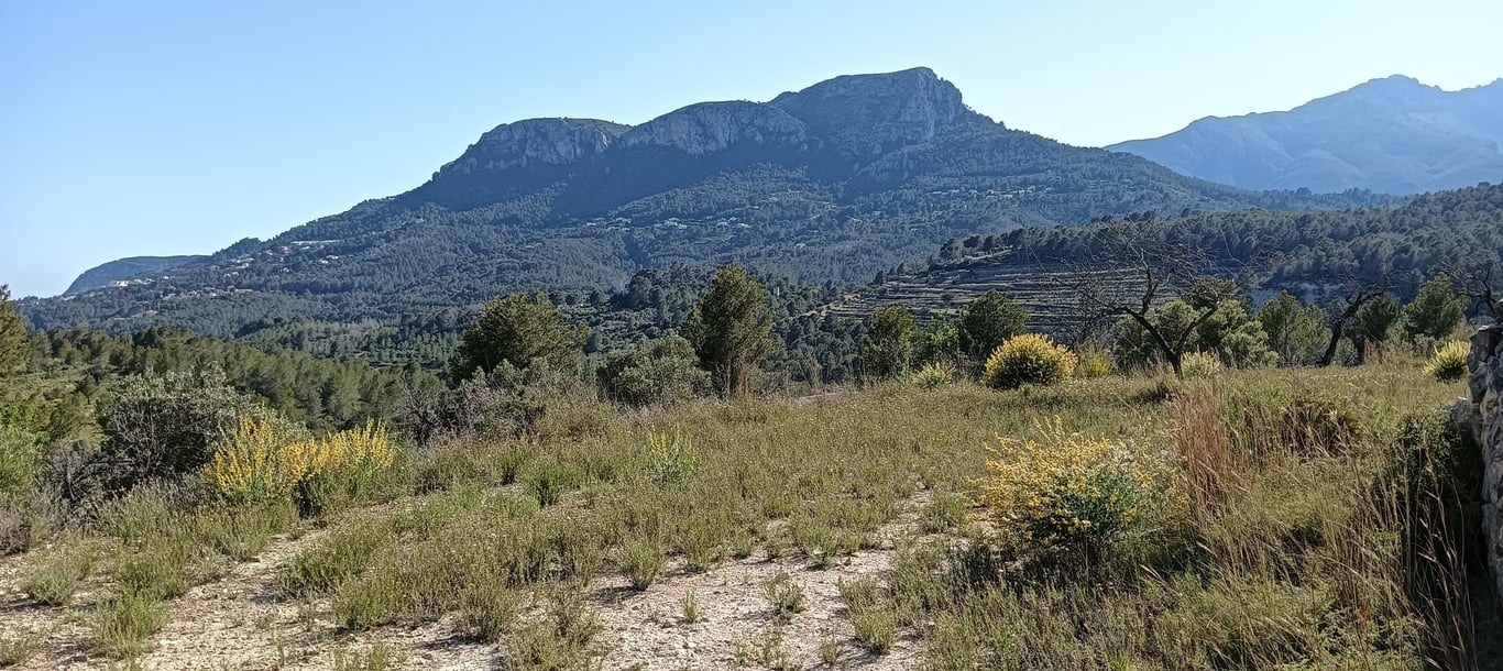Terreno en Benissa