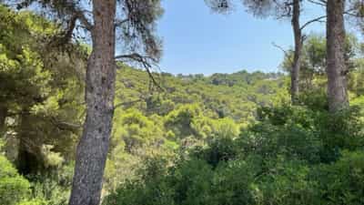 Property #AD 222 3
