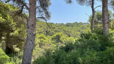 Property #AD 222 - Image 5