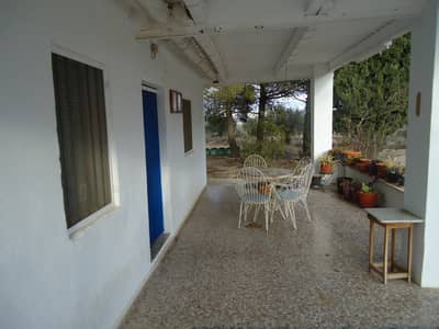 Property #TSR1915C - Image 5