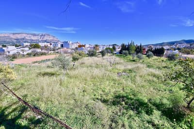 Property #TSR1405C - Image 4