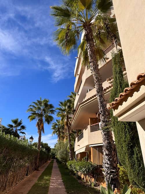 Appartement met 2 slaapkamers in Torrevieja — foto 6