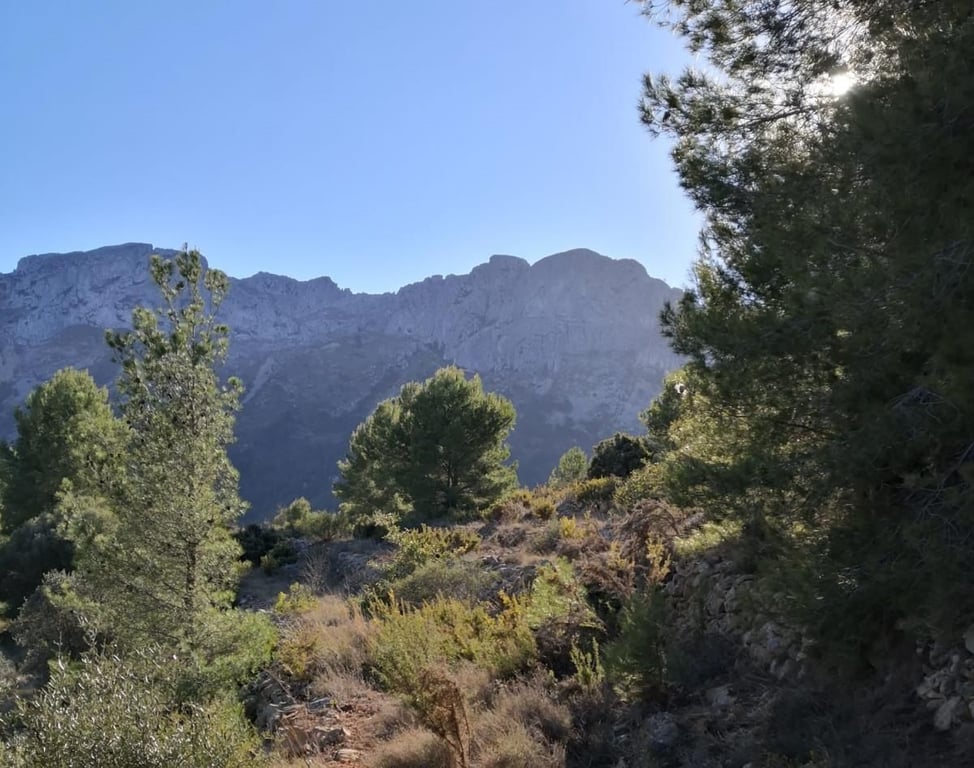 Property #RH20571 - 6