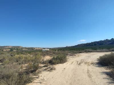 Property #TSR3379C - Image 4